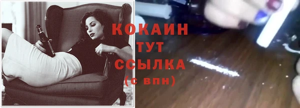 прущий лед Абаза