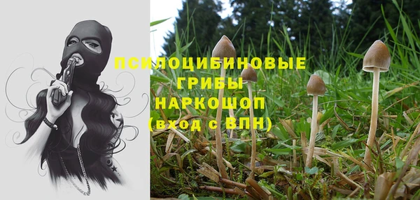 прущий лед Абаза